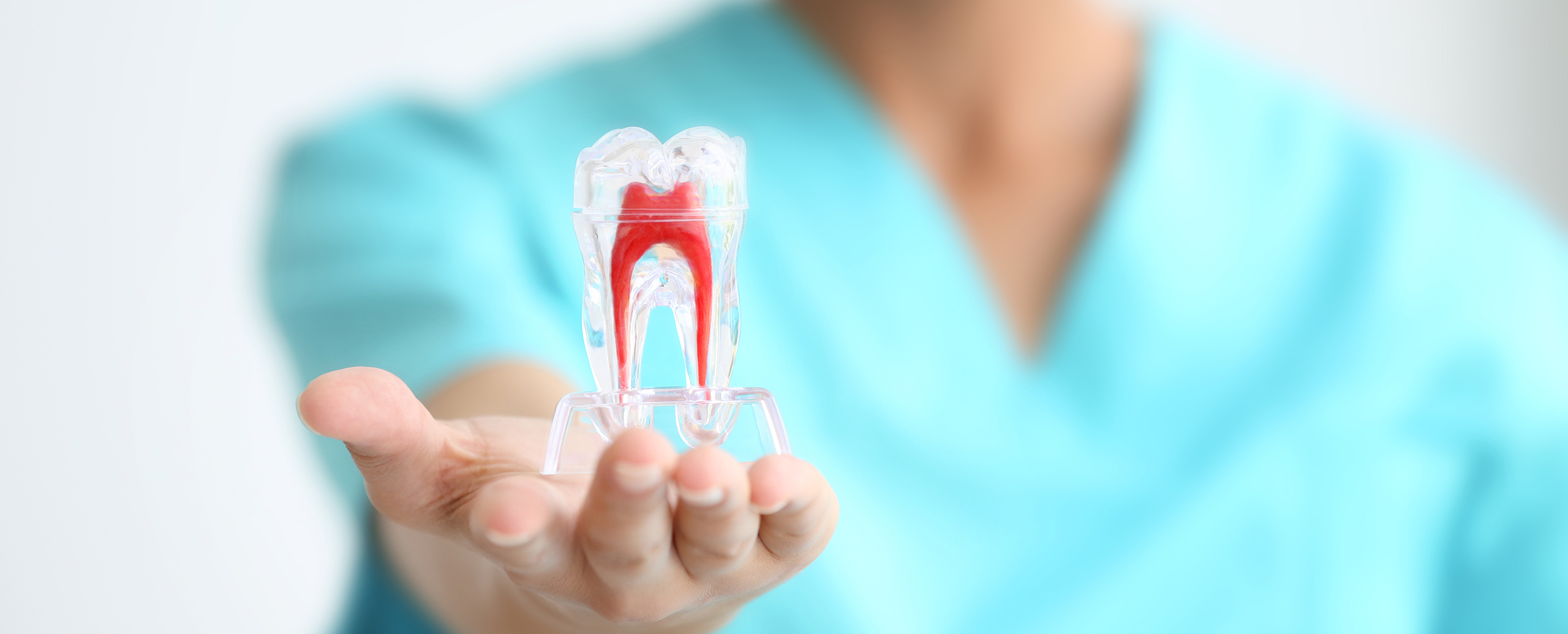 A fresh Approach to Dental Healthcare